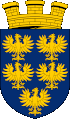 Havaneser Züchter und Welpen in Niederösterreich